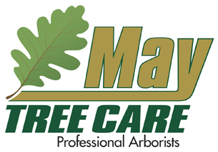 Tree Service in Camden & Burlington County NJ