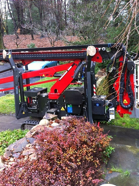 Tree Removal in Camden County NJ