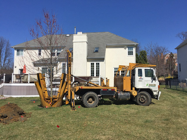 Tree Removal in Burlington County NJ